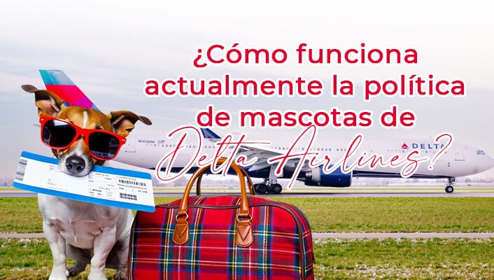 ¿Cómo funciona actualmente la política de mascotas de Delta Airlines?